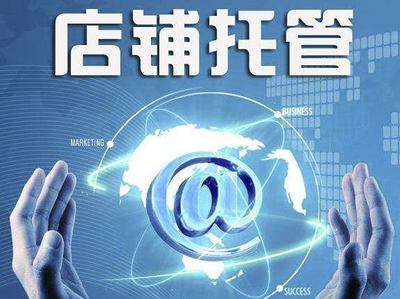 网站建设与小程序公众号开发 网络技术推广的关键路径