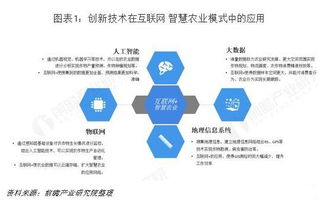 电子说 网络技术服务的未来趋势与变革